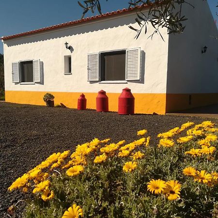 Monte Quinta Verde Ferreira Do Alentejo Extérieur photo