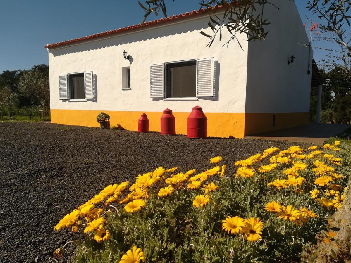 Monte Quinta Verde Ferreira Do Alentejo Extérieur photo